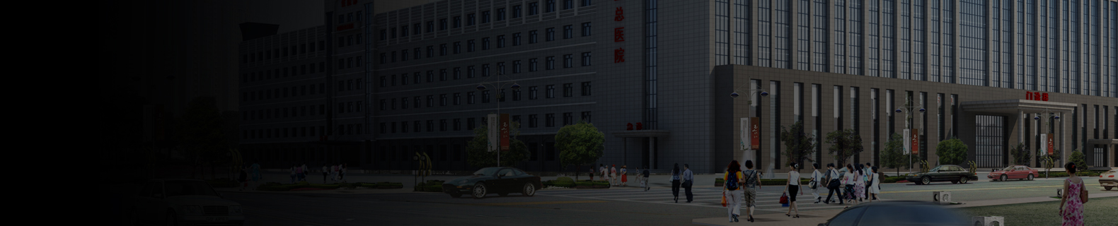 政府